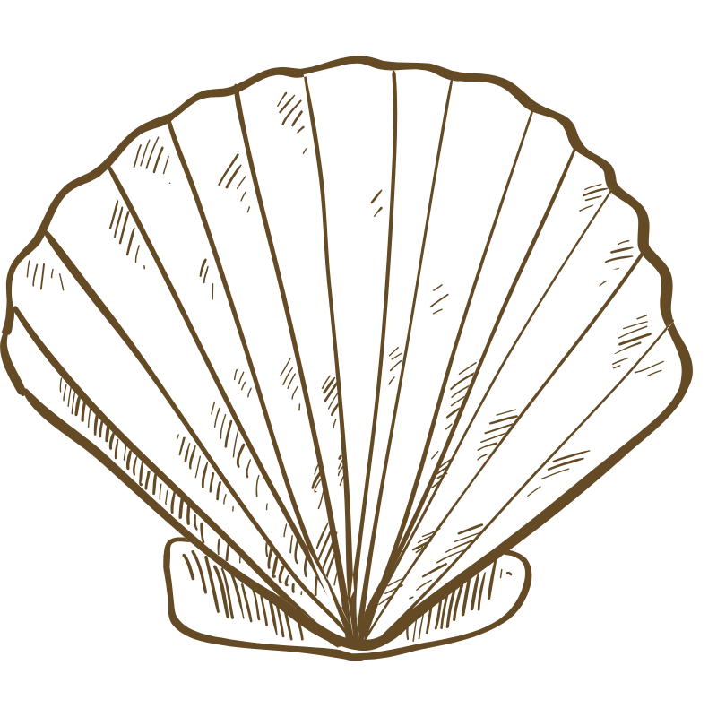 Icono de concha de mar