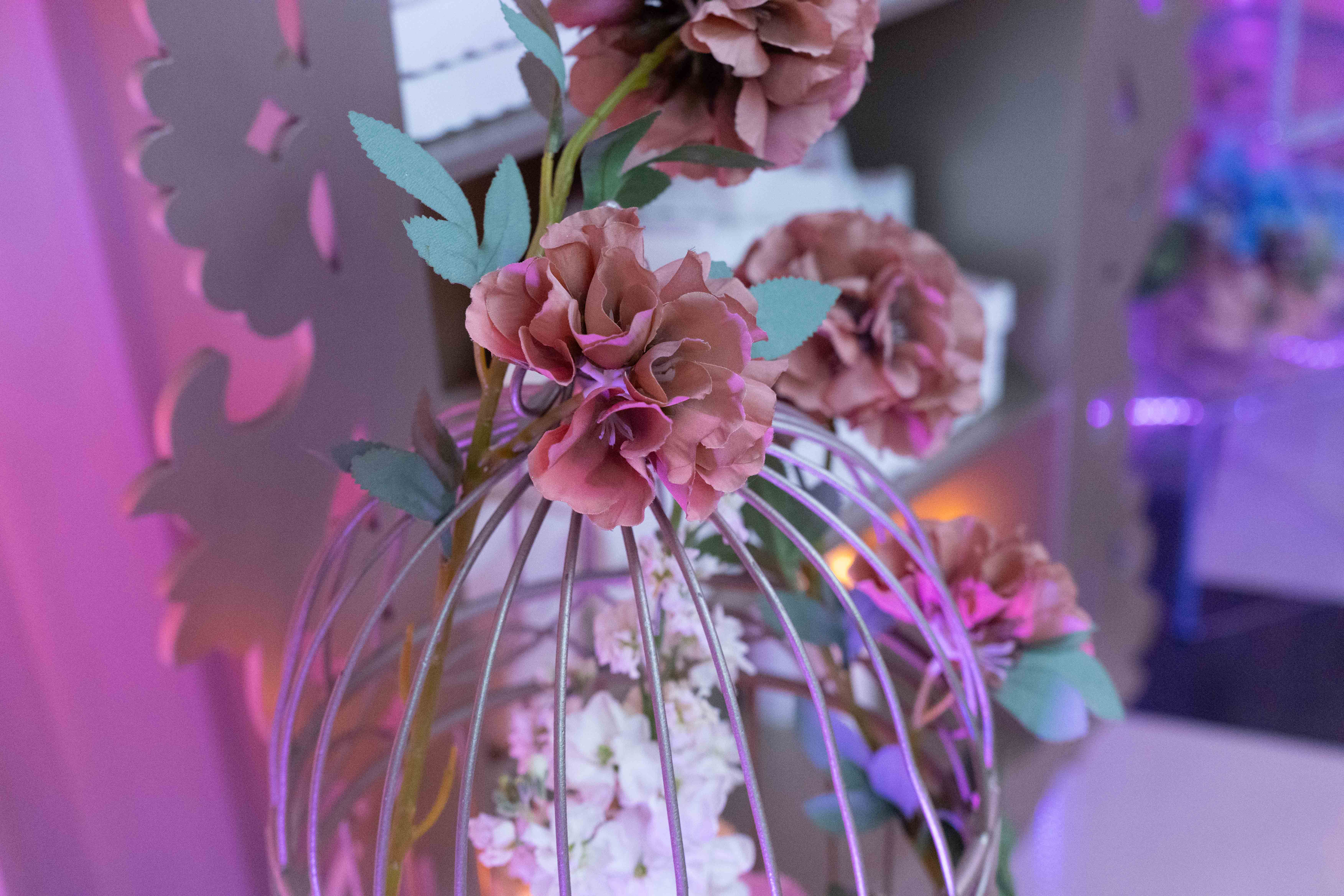 Foto Quinceañera 4