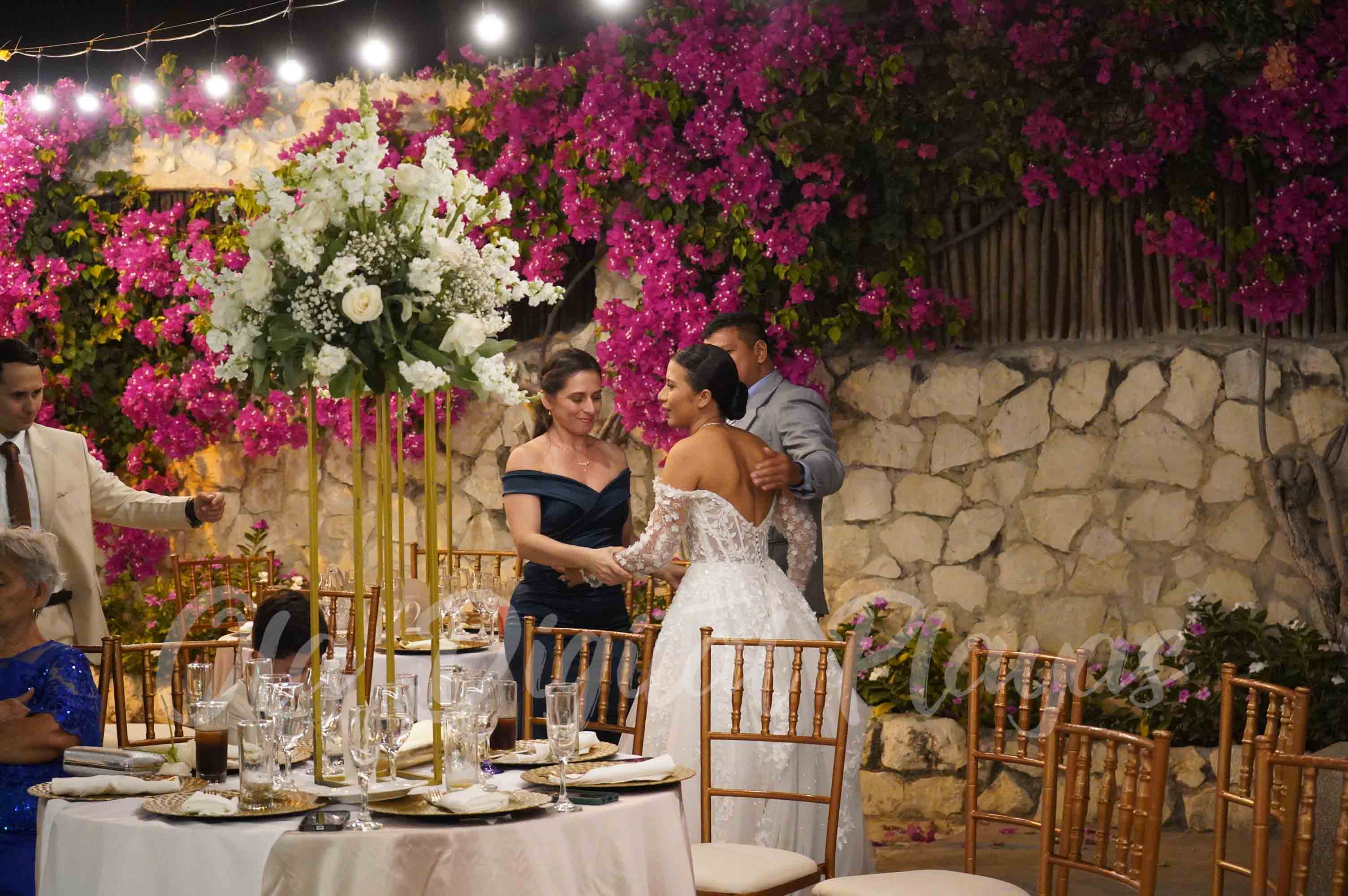Foto Boda 301